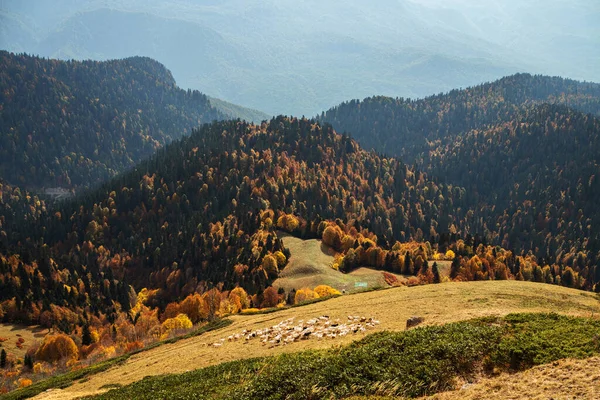 Bellissimo panorama di montagne, libertà e bellezza della natura. — Foto Stock