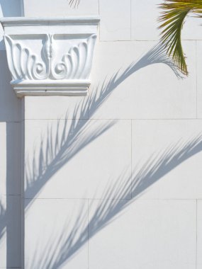 Palmiye dalları beyaz bir duvara, sütuna ve duvarlara gölge düşürür,