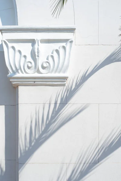 Palmboomtakken werpen een schaduw op een witte muur, kolom en metselwerk, Stockfoto