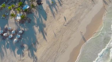 Palmiye ağaçları ve beyaz kumları olan güzel bir sahil, kıyı şeridini kaplayan gök mavisi dalgalar.,