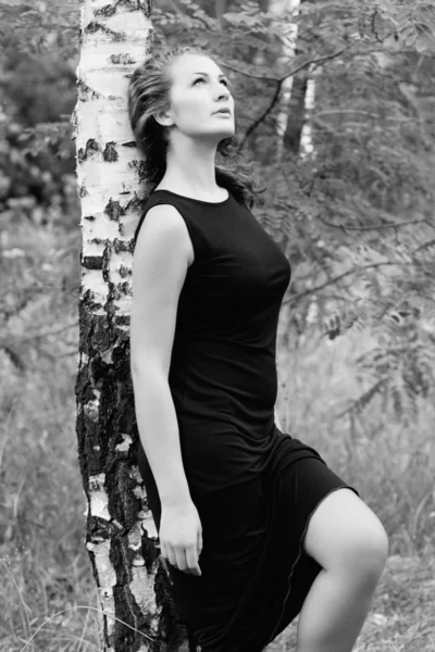 Portrait of attractive young woman near birch tree — Stock Photo, Image