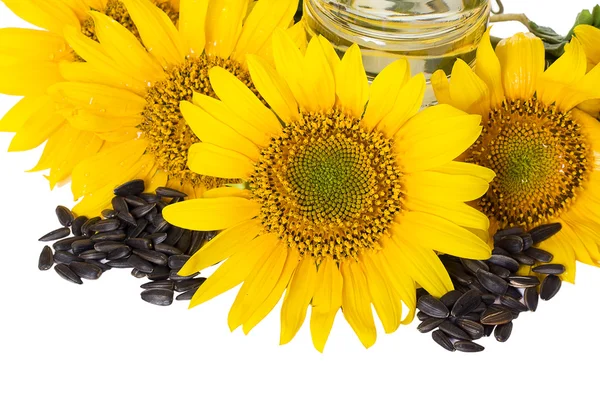 Gele zonnebloemen — Stockfoto