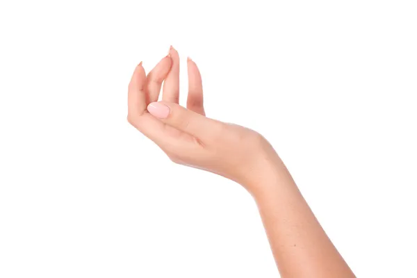 boş açık kadın eli