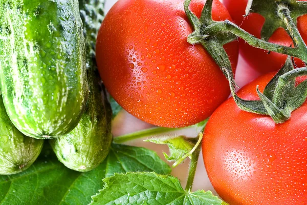 Produtos hortícolas — Fotografia de Stock