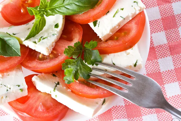 Süzme peynir ile domates — Stok fotoğraf