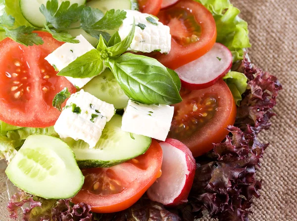 Sallad — Stockfoto