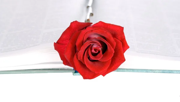 Κόκκινο τριαντάφυλλο σε ένα βιβλίο — Φωτογραφία Αρχείου