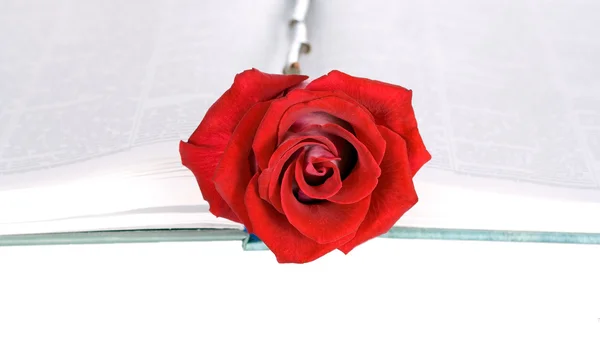 Rosa roja en un libro — Foto de Stock