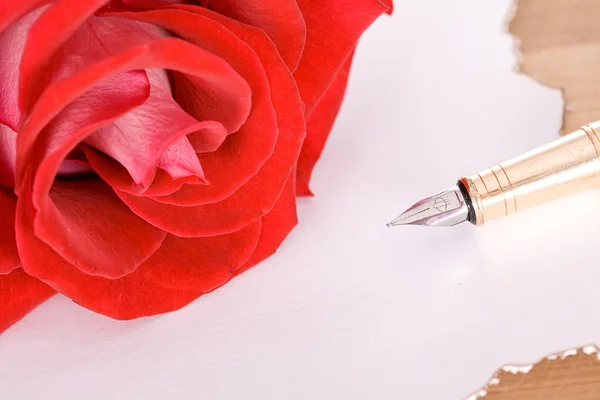 Rose and pen — Stock Photo, Image