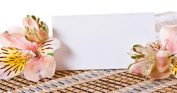 Flores alstroemeria com um cartão branco — Fotografia de Stock
