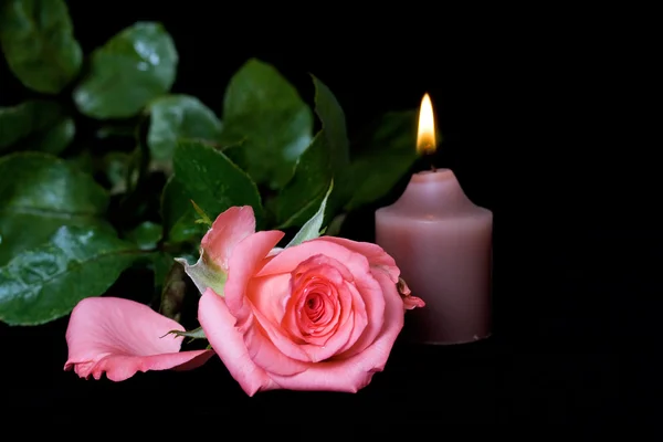 Τριαντάφυλλο και κερί — Φωτογραφία Αρχείου
