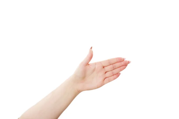 Vazio Mão Mulher Aberta Fundo Branco — Fotografia de Stock