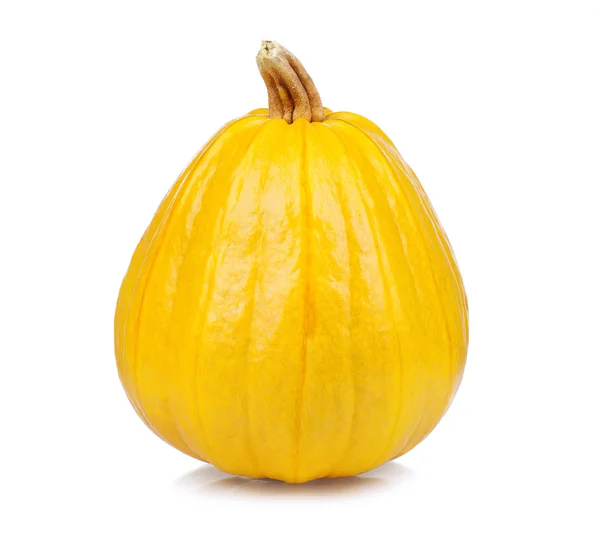 Calabaza fresca — Foto de Stock