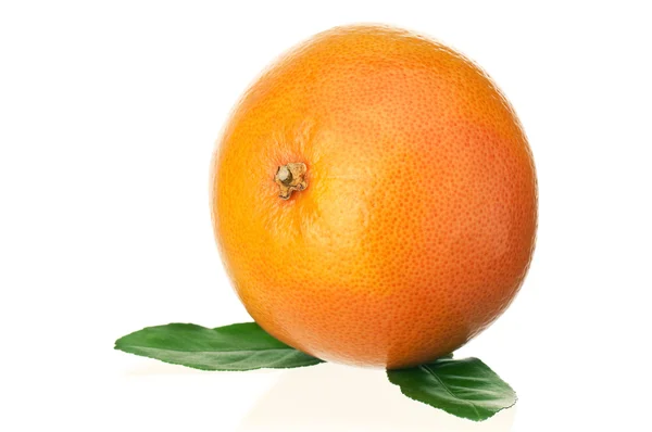 Reife Grapefruit — Stockfoto