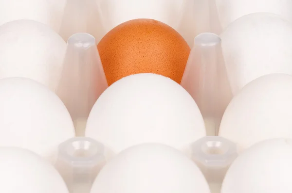 Eggs in box — Stock Photo, Image