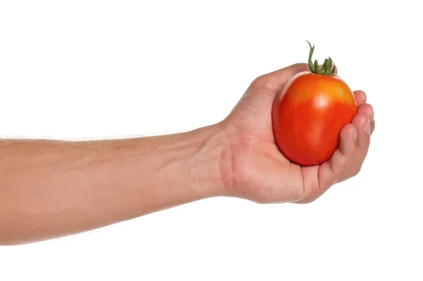 Mão com tomate — Fotografia de Stock