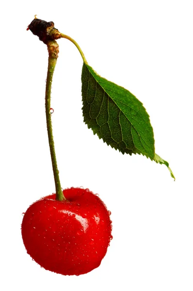 Sweet cherries — Stock Photo, Image