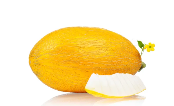 Kantaloupe-Melone — Stockfoto