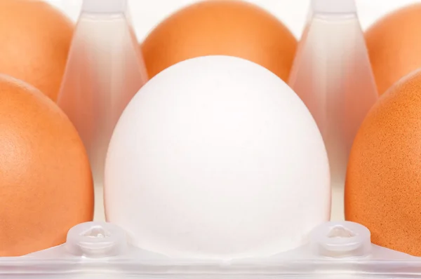 Huevos en caja —  Fotos de Stock