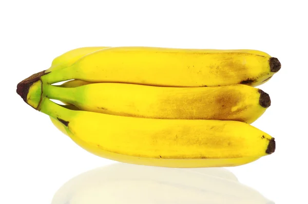 Modne bananer – stockfoto