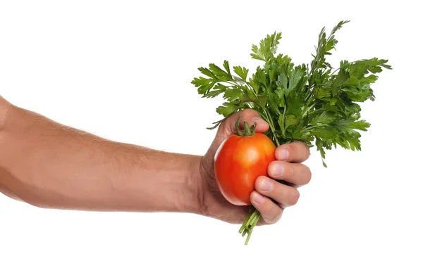 Hand with parsley — Stock Photo, Image