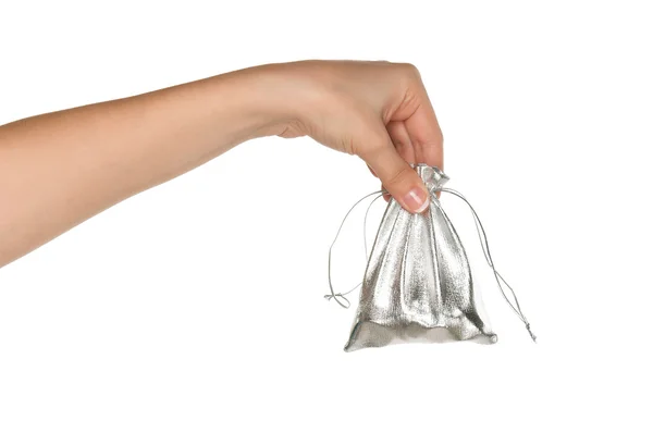 Hand with money bag — Stock Photo, Image