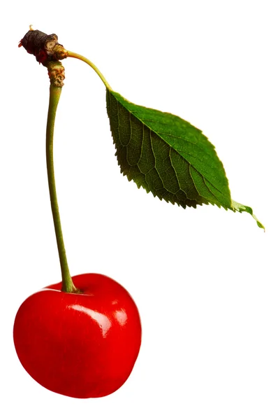 Sweet cherries — Stock Photo, Image