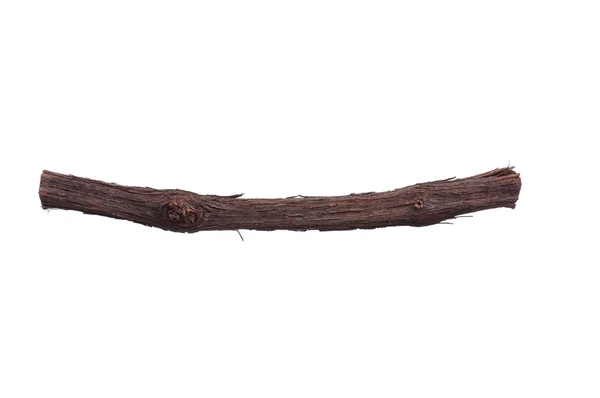 Tree branch — Stock Photo, Image