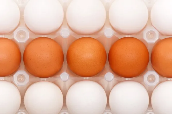 ボックスの卵 — ストック写真
