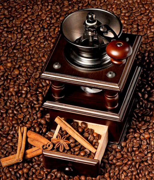 Coffee grinder — Stock Photo, Image