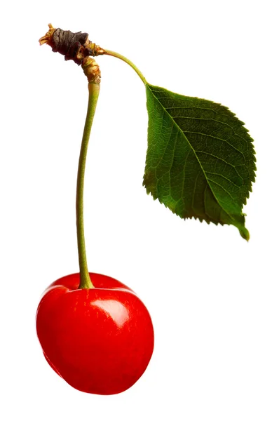 Sweet cherries — Stock Photo, Image