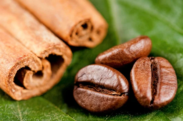 Coffee beans — Stock Photo, Image