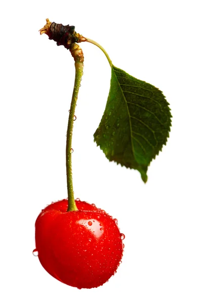 Sweet cherries — Stock Photo, Image