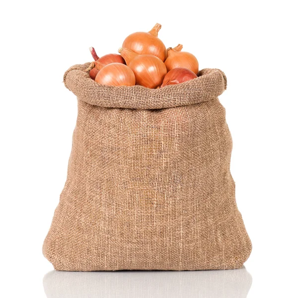 Onions in bag — Stockfoto