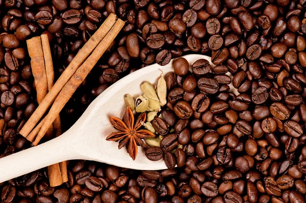 Coffee beans — Stock Photo, Image