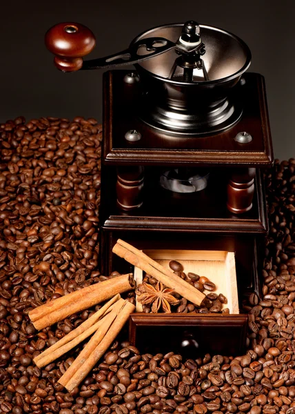 Kaffeemühle — Stockfoto