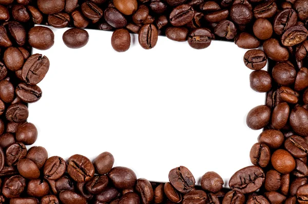 Coffee beans — Stock Photo, Image