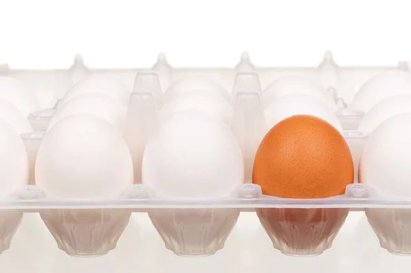 Eggs in box — Stock Photo, Image