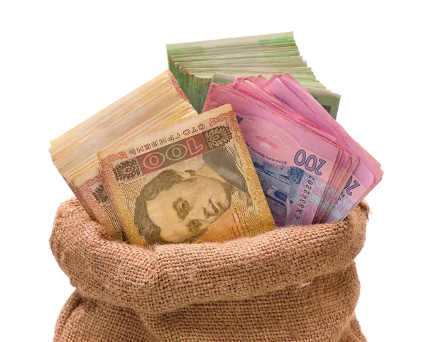 Geld tas met hryvna — Stockfoto