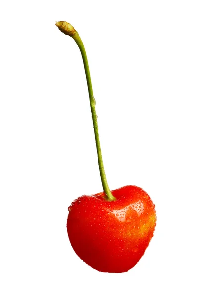 หวานเชอร์รี่ — ภาพถ่ายสต็อก