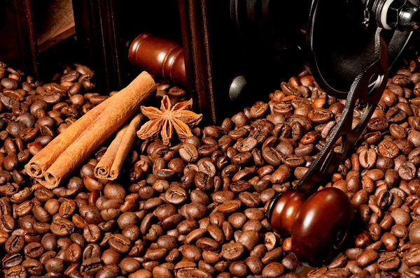 Molinillo de café — Foto de Stock