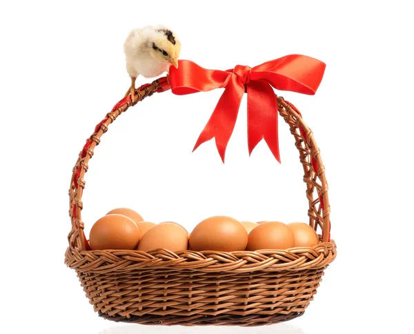 Chicken with basket — Stock Photo, Image