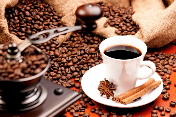 Coffee grinder — Stock Photo, Image