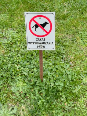 Köpekler iz yok