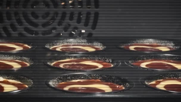 Time Lapse av bakning av chokladmuffins i ugn — Stockvideo