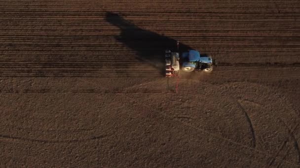 Blauer Traktor bei der Feldarbeit — Stockvideo