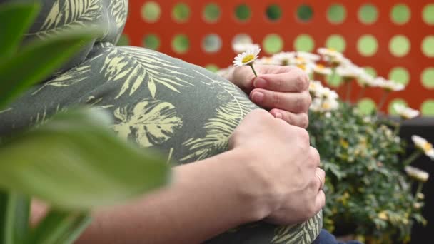 공원 벤치에 앉아 임신한 여자 — 비디오