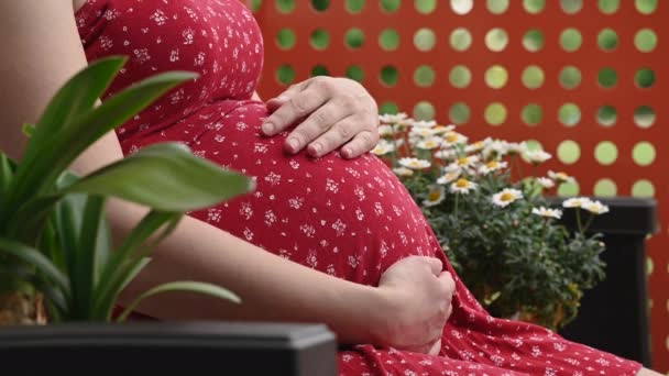 Zwangere Vrouw Zittend Parkbank Zachtjes Streelt Haar Buik Omgeven Door — Stockvideo