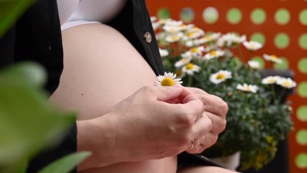 妊娠中の女性は夏のベランダに花に囲まれて庭に座っています 妊娠していない女性はデイジーの花を保持し 花弁から涙 デイジーの推測では — ストック動画