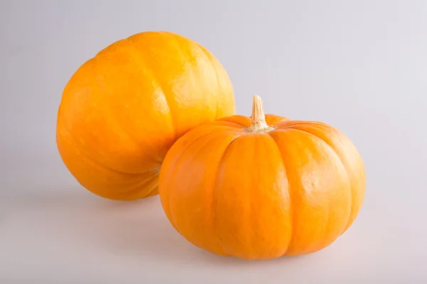 Fresh orange pumpkin — Stock Photo, Image